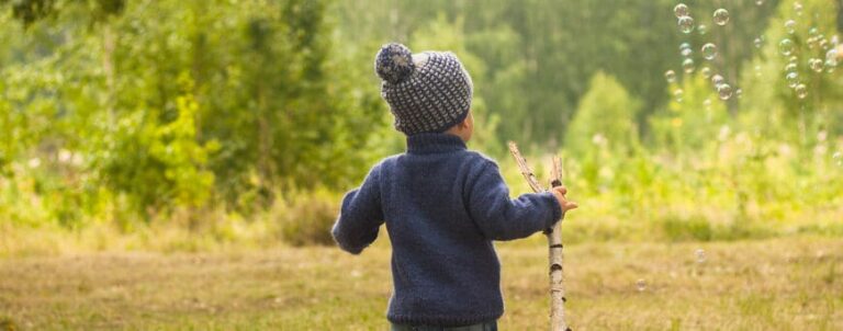 Words That Mean Forest In Other Languages